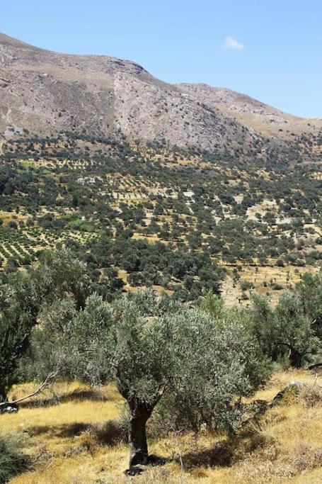 Orne Magical Retreat Villa Dış mekan fotoğraf