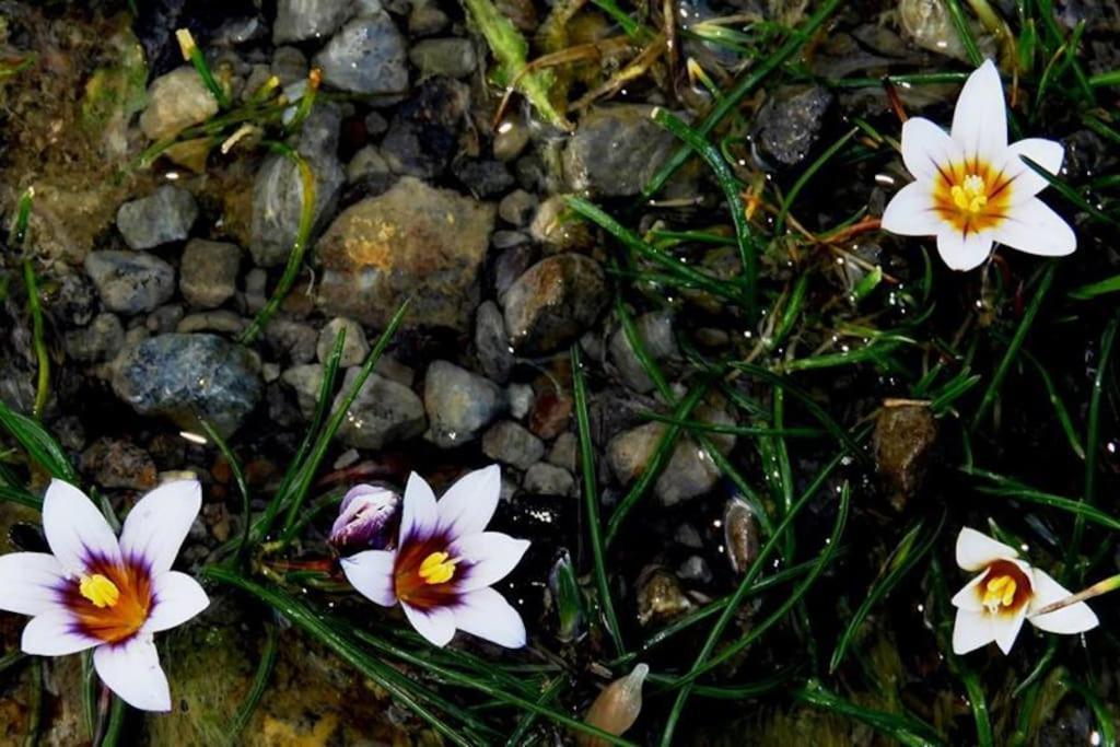Orne Magical Retreat Villa Dış mekan fotoğraf