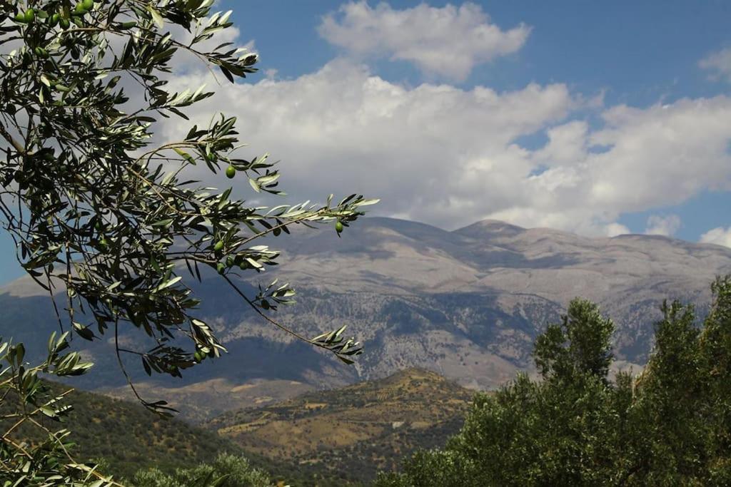Orne Magical Retreat Villa Dış mekan fotoğraf